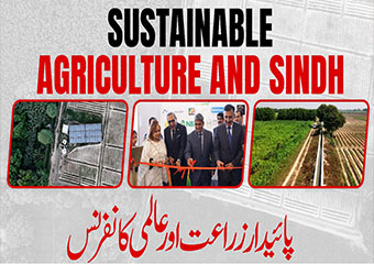 Awesome Agriculture and Sindh Image