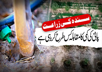 Awesome Water shortage of Agriculture Image