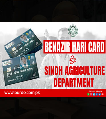 Awesome Hari Card Image