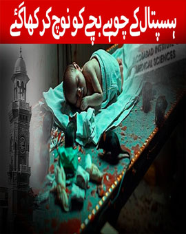Awesome News Image